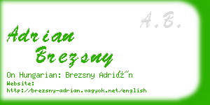 adrian brezsny business card